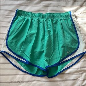 Nike DriFit Shorts Size Large